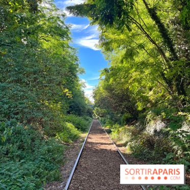 Balade sur la Petite Ceinture du 14 au 16e arrondissement : un sentier nature dépaysant