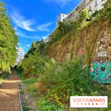 Balade sur la Petite Ceinture du 14 au 16e arrondissement : un sentier nature dépaysant