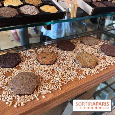 Le Biscuit Alain Ducasse