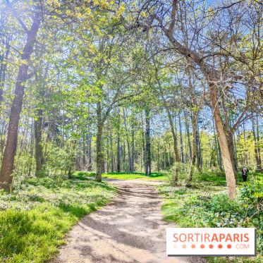 Visuels Paris - forêt bois de Boulogne nature soleil printemps
