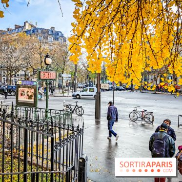 Visuels Paris - métro automne arbre