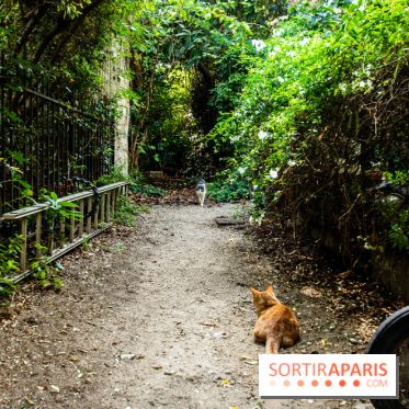 Les villages cachés du 13e arrondissement à Paris