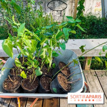 Bercy Beaucoup à Paris