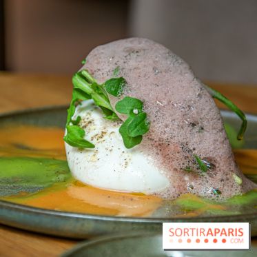 Fi'lia, notre test du restaurant italien chic et moderne du Pullman Paris Montparnasse