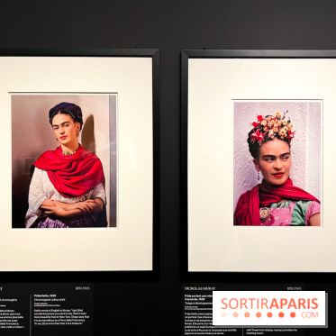 Exposition Frida Kahlo