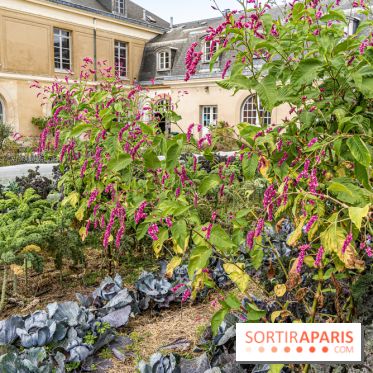 Le Potager du Roi de Versailles, Journées du Patrimoine 