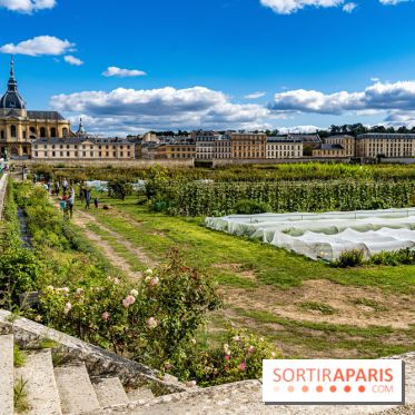 Le Potager du Roi de Versailles, Journées du Patrimoine 
