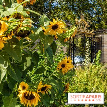Le Potager du Roi de Versailles, Journées du Patrimoine 