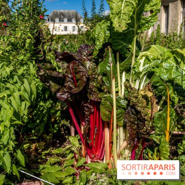 Le Potager du Roi de Versailles, Journées du Patrimoine 