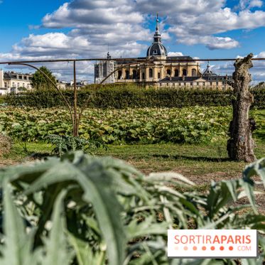 Le Potager du Roi de Versailles, Journées du Patrimoine 