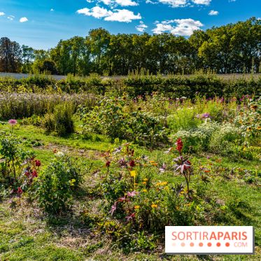 Le Potager du Roi de Versailles, Journées du Patrimoine 