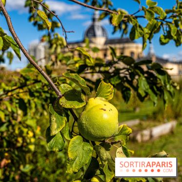 Le Potager du Roi de Versailles, Journées du Patrimoine 