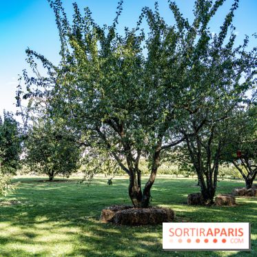 Le Potager du Roi de Versailles, Journées du Patrimoine 