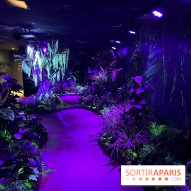 Forêt Bioluminescente - Serre Papillons