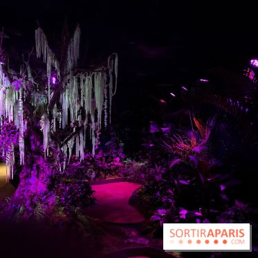 Forêt Bioluminescente - Serre Papillons