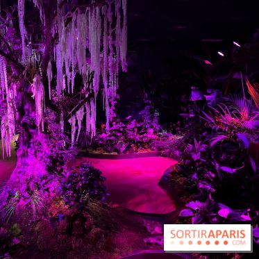 Forêt Bioluminescente - Serre Papillons