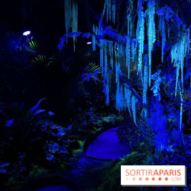 Forêt Bioluminescente - Serre Papillons