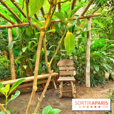 Serre Papillons - La Queue-lez-Yvelines