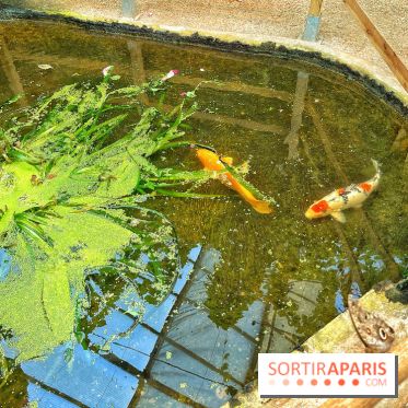 Serre Papillons - La Queue-lez-Yvelines