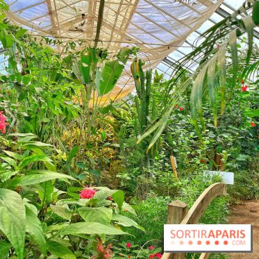 Serre Papillons - La Queue-lez-Yvelines