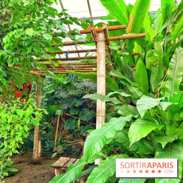 Serre Papillons - La Queue-lez-Yvelines