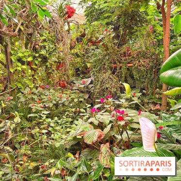 Serre Papillons - La Queue-lez-Yvelines