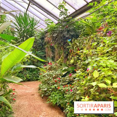 Serre Papillons - La Queue-lez-Yvelines