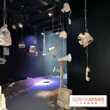 Le Chant des Forêts, l'exposition sensible et gratuite du Maif Social Club