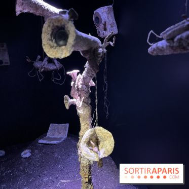Le Chant des Forêts, l'exposition sensible et gratuite du Maif Social Club
