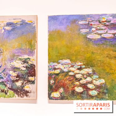 Exposition Monet - Mitchell Fondation Vuitton