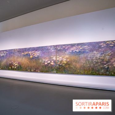 Exposition Monet - Mitchell Fondation Vuitton - Claude Monet - Nymphéas