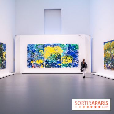 Exposition Monet - Mitchell Fondation Vuitton  - Joan Mitchell  -  impressionnisme abstrait