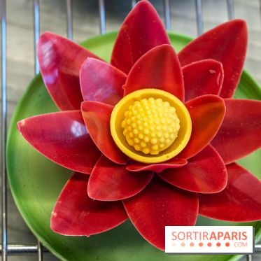 L'Éclair de Génie Café Paris - nénuphar framboise