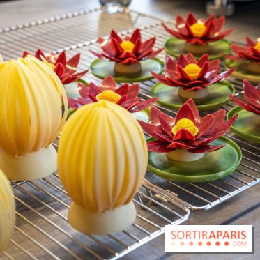 L'Éclair de Génie Café Paris - nénuphar