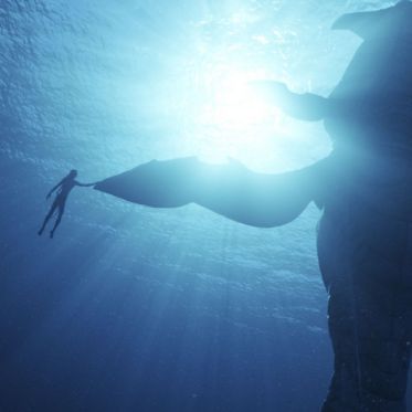 Avatar 2 : La voie de l'eau - Les photos