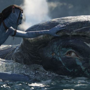 Avatar 2 : La voie de l'eau - Les photos