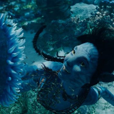 Avatar 2 : La voie de l'eau - Les photos