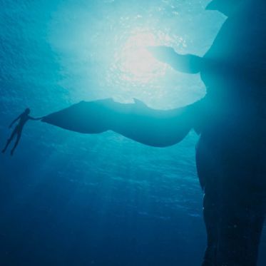 Avatar 2 : La voie de l'eau - Les photos