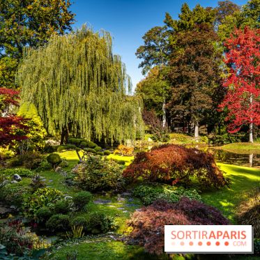 Le Jardin japonais du Château de Courances