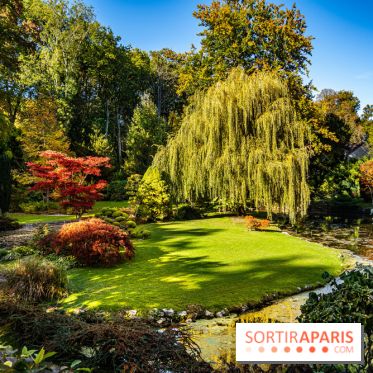 Le Jardin japonais du Château de Courances