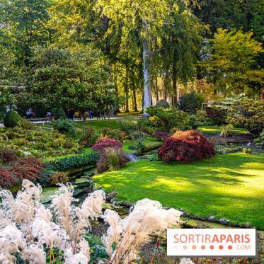 Le Jardin japonais du Château de Courances