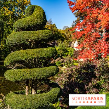 Le Jardin japonais du Château de Courances