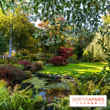 Le Jardin japonais du Château de Courances