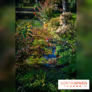 Le Jardin japonais du Château de Courances