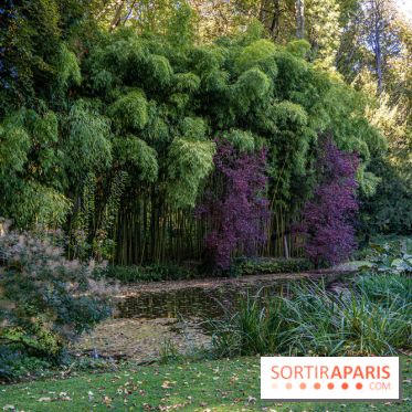Parc et Domaine du Château de Courances