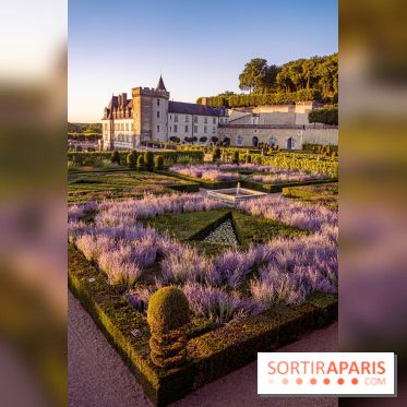 Le Château de Villandry et ses jardins