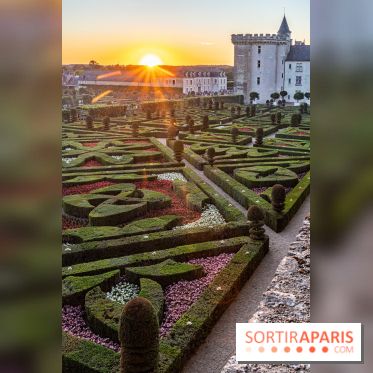 Le Château de Villandry et ses jardins