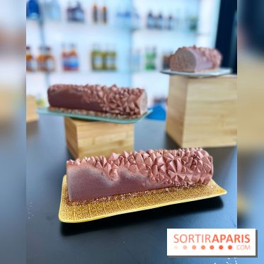 Bûches de Noël 2022 Jérémy Delval Dalloyau