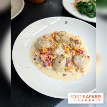 Restaurant Ardent - Saint-Jacques