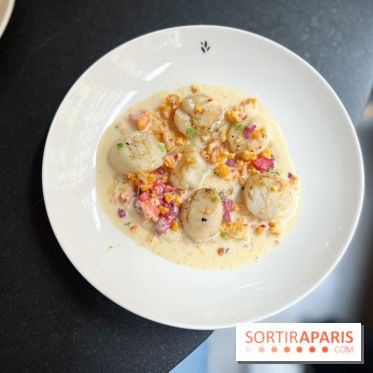 Restaurant Ardent - Saint-Jacques